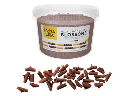 chm bs 19848e0 999 chm bs 22277e0 07b