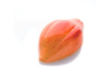 CF0101 1