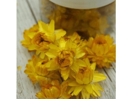 Strohblumen Gelb 1