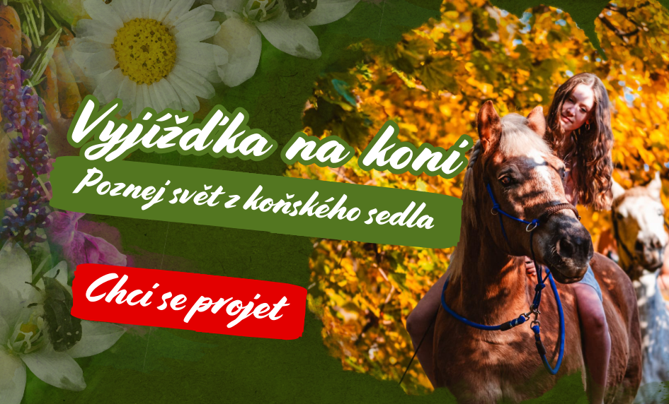 poznej svět z koňského sedla