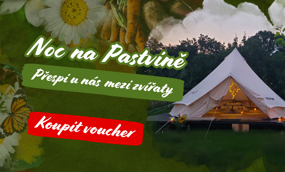 Přespi u nás mezi zvířaty