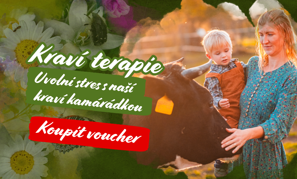 Uvolni stres s naší kraví kamrátkou