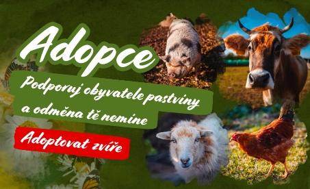 Podporuj obyvatele Pastviny a odměna tě nemine.