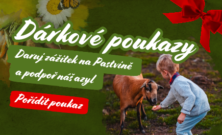 Daruj zážitky na pastvině a podpoř náš azyl