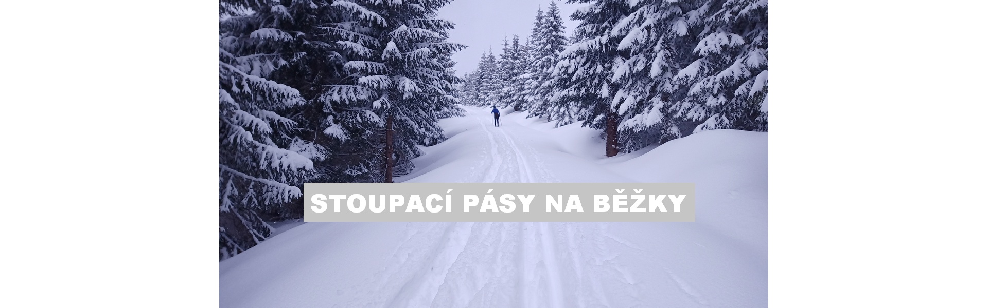 Stoupací pásy na běžky