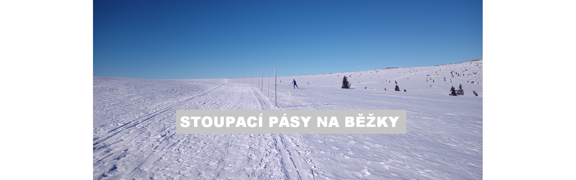 Stoupací pásy na běžky