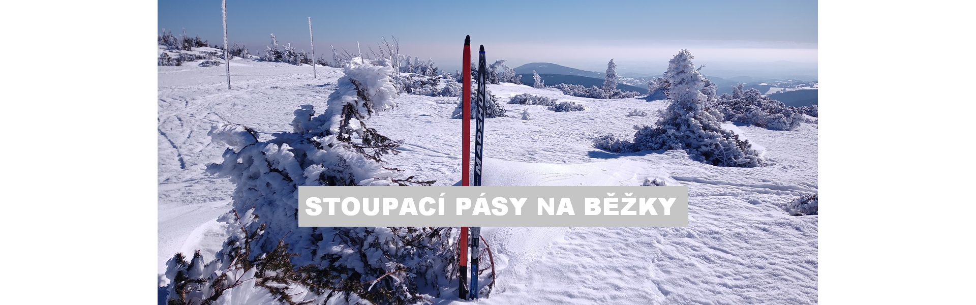 Stúpacie pásy na bežky