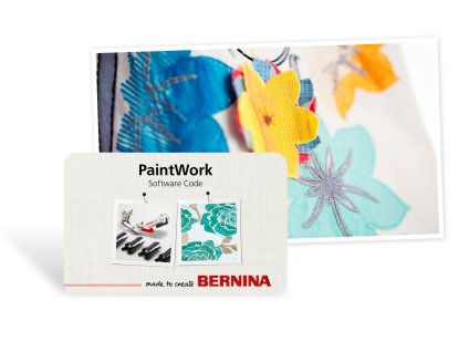2816 3 2816 3 2816 3 2816 3 paintwork bernina