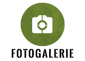 Fotogalerie