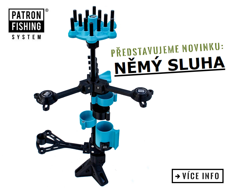 NĚMÝ SLUHA