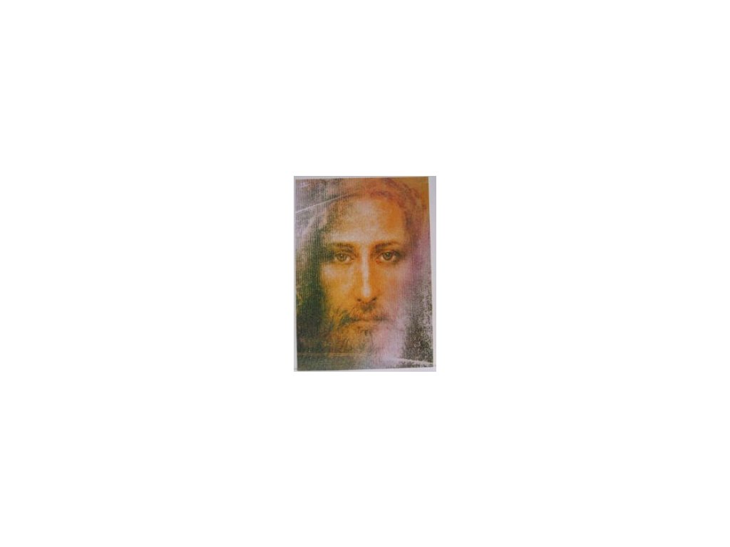 Svatá tvář z Turínského plátna (ikona)