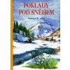 Poklady pod sněhem