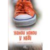 Jednou nohou v nebi WEB