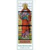 S058 sv Bartoloměj apoštol