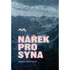 Nářek pro syna