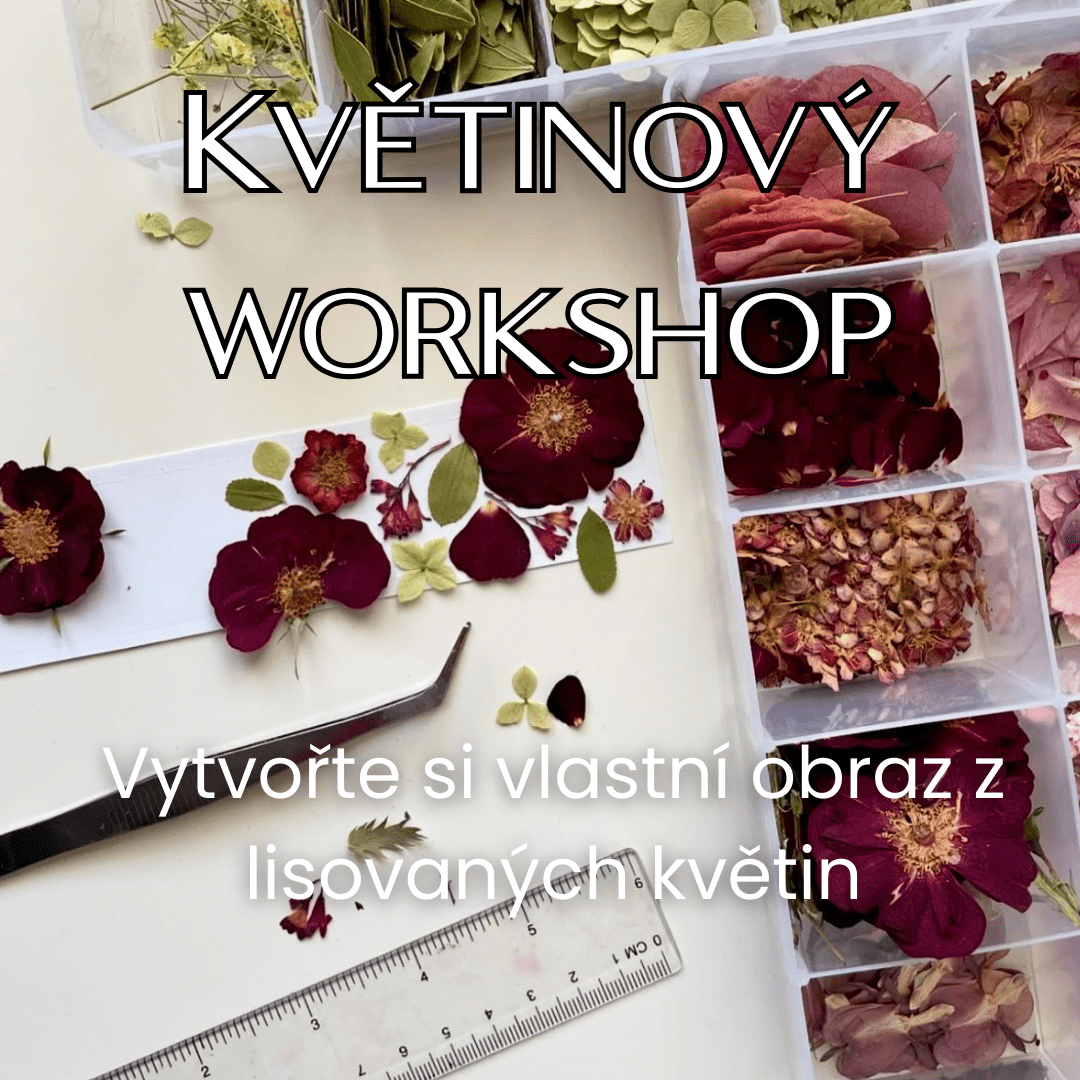 Květinový Workshop - obrazy z lisovaných květin