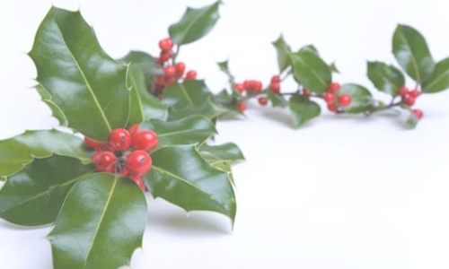 A22E32FB-F1DE-4A91-ABD0-A0821AAD17FC