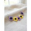 osteospermum je květina jara a léta 2