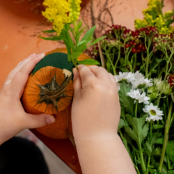 floristicky kurz aranzováni dyne