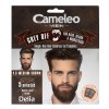Delia Cosmetics Cameleo Men krém na farbenie vlasov, fúzov a brady č. 4.0 stredne hnedý 15mlx2