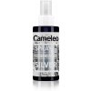 Delia Cosmetics Cameleo Spray & Go Sprej Šedá farba na vlasy v spreji 150ml