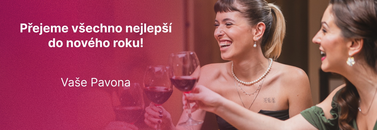 Vše nej do nového roku