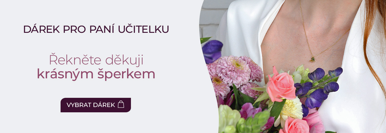 Učitelé desktop