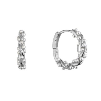 11810 1 shell perla ag