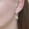 11738.3 fosil (2)