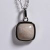 12166.3 fosil (4)
