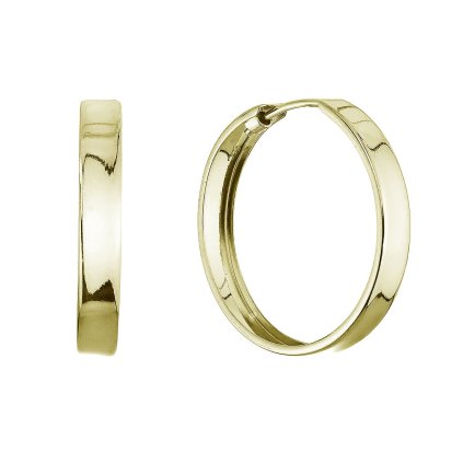 33346 stribrne pozlacene nausnice kruhy 61067