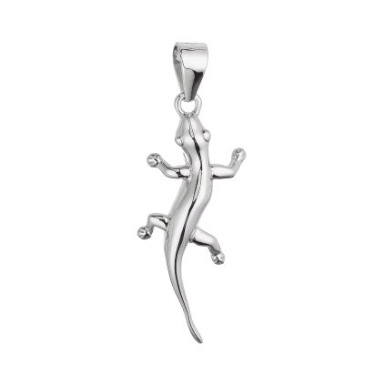 33826 stribrny privesek jesterka 64037