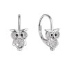32279 5 stribrne nausnice sovicky se zirkony 11501 1 crystal