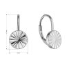 32378 1 stribrne nausnice kulate 61021