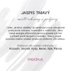 16. JASPIS TMAVÝ