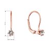 31322.1 rose gold New