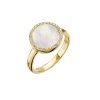 Pozlátený prsteň s bielou perleťou 15022.1 (Veľkosť 52 (průměr 16,6mm))