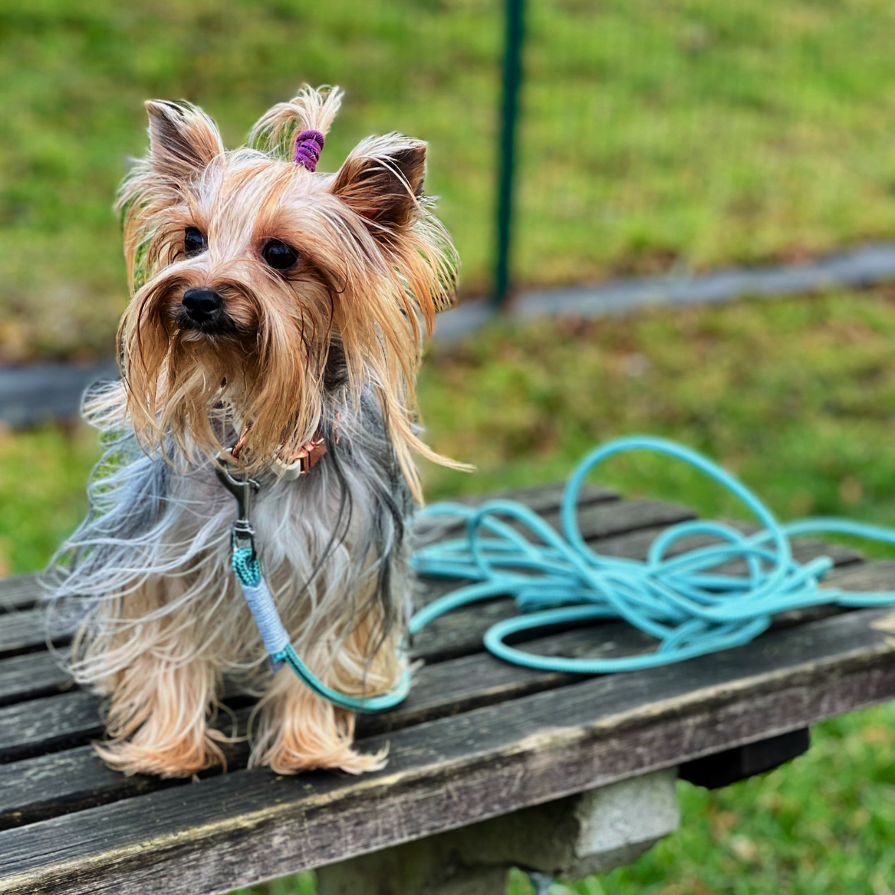 K čemu slouží stopovací vodítko?