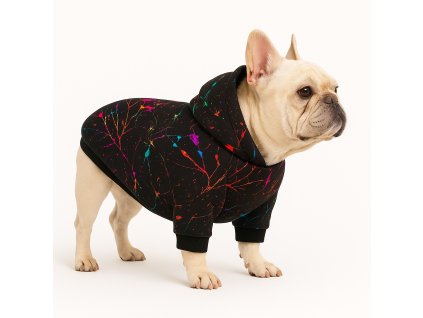 Francúzsky buldoček v farebnej mikine