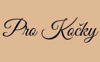 Kočka