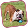 becoball bully