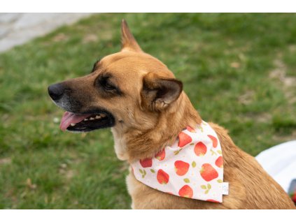 Bandana STRAWBERRY ♥