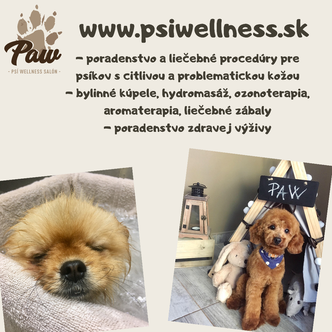 PAW psí wellness salón