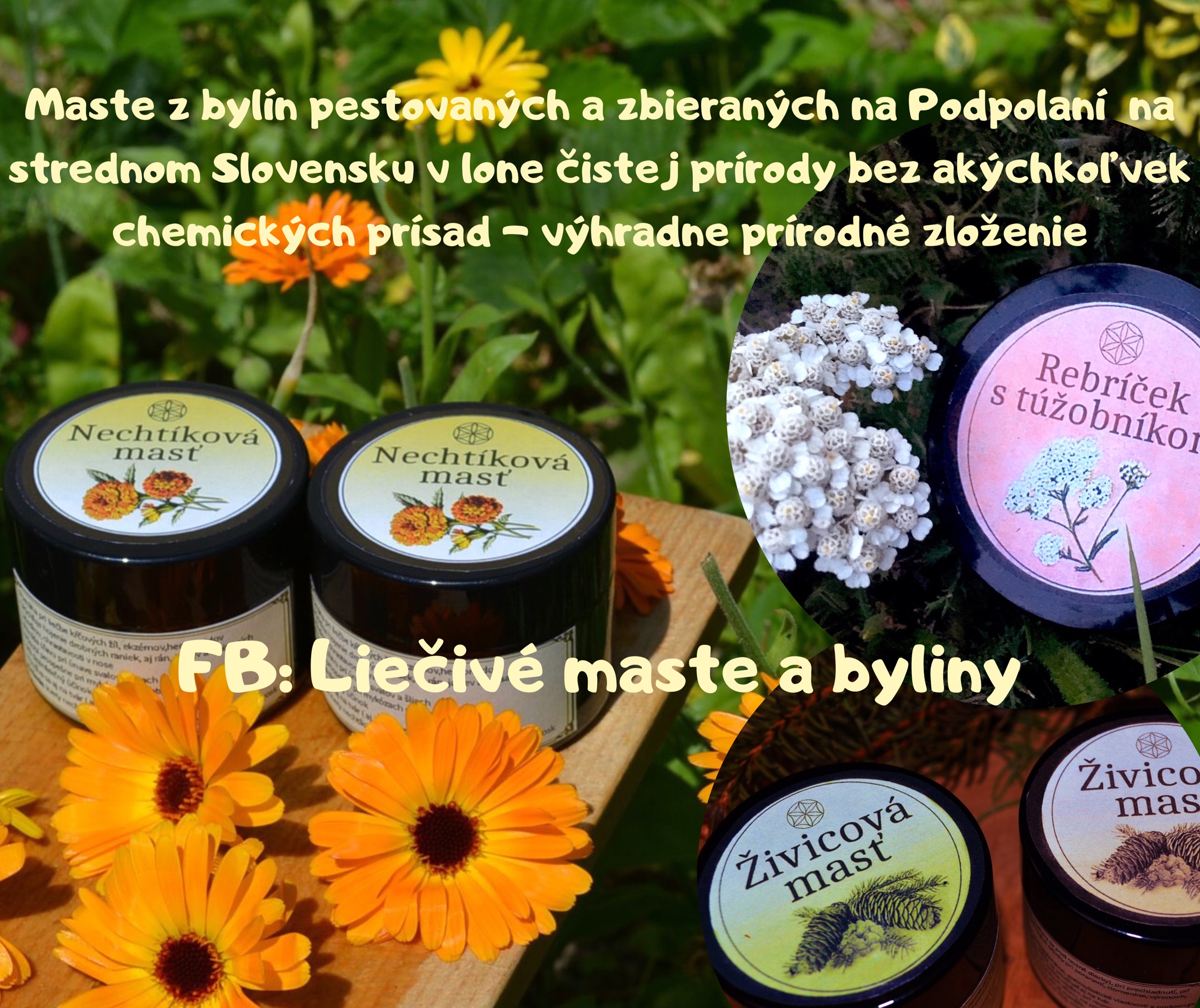 Liečivé maste a byliny