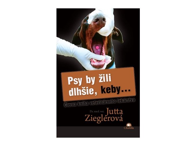 psy by zili