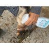 Veterinol roztok 500ml