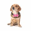 Ruzovy s puntiky FD02 3 mensie b694b095 47a8 4ac6 a77c 61ccf61798cd 1024x1024