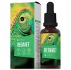 Regavet