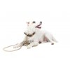 FUNKY DOG 35 720x