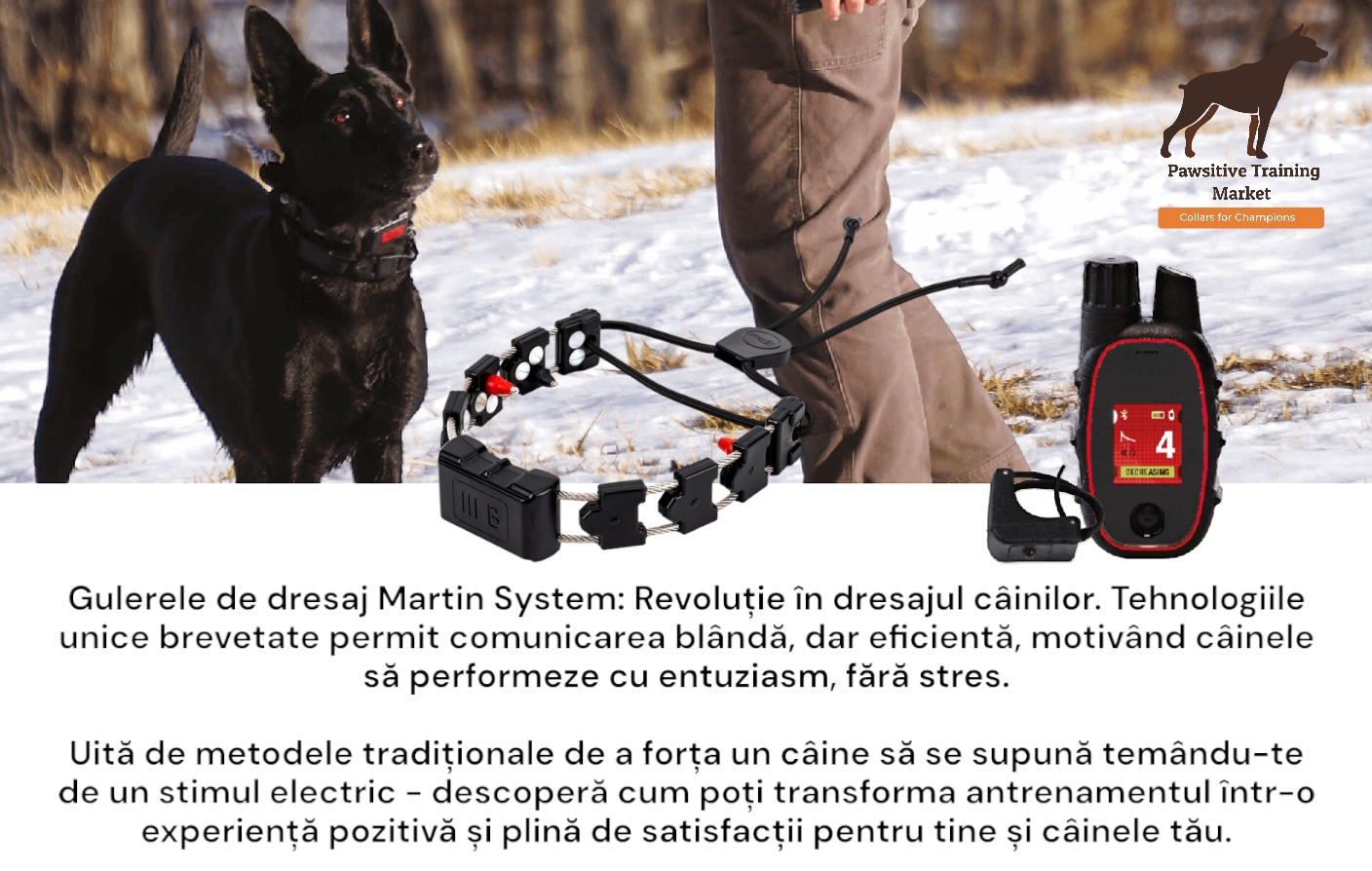 Martin System Chameleon